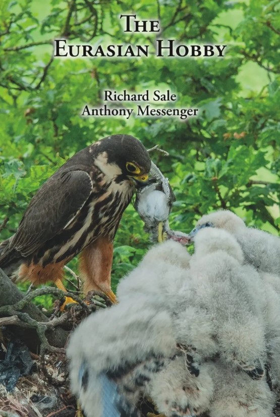 The front cover of The Eurasian Hobby