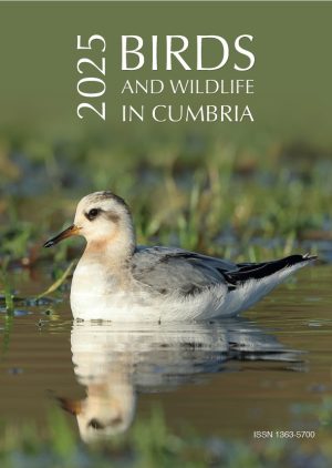 Birds and Wildlife in Cumbria 2025