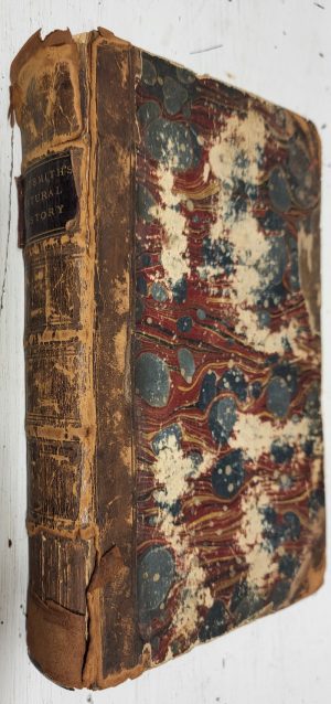 Goldsmith's Natural History, abridged for the use of schools