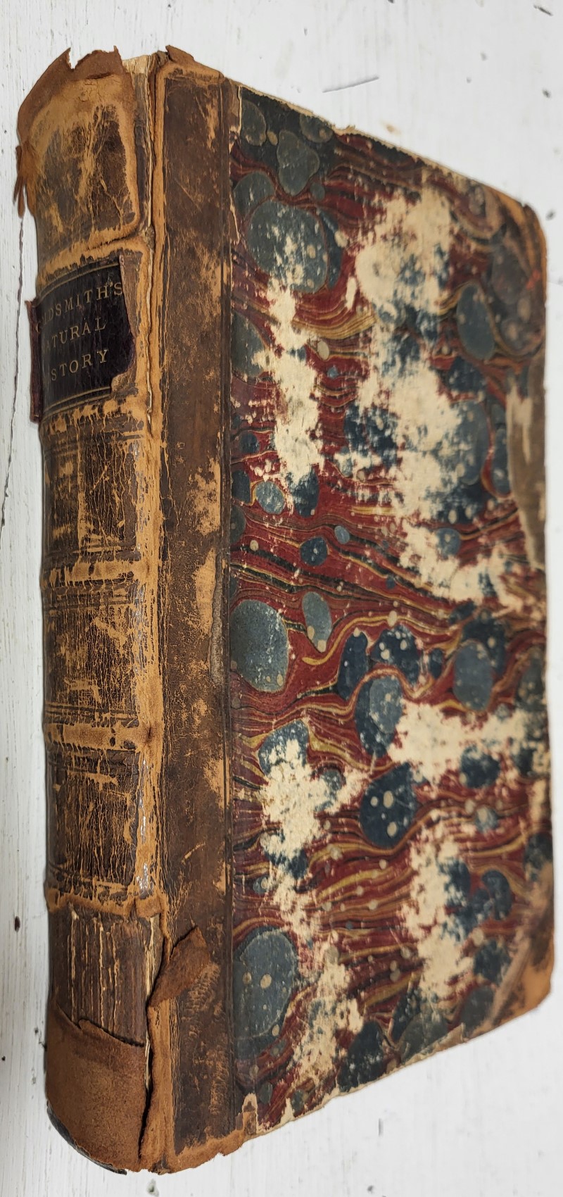 Goldsmith's Natural History, abridged for the use of schools