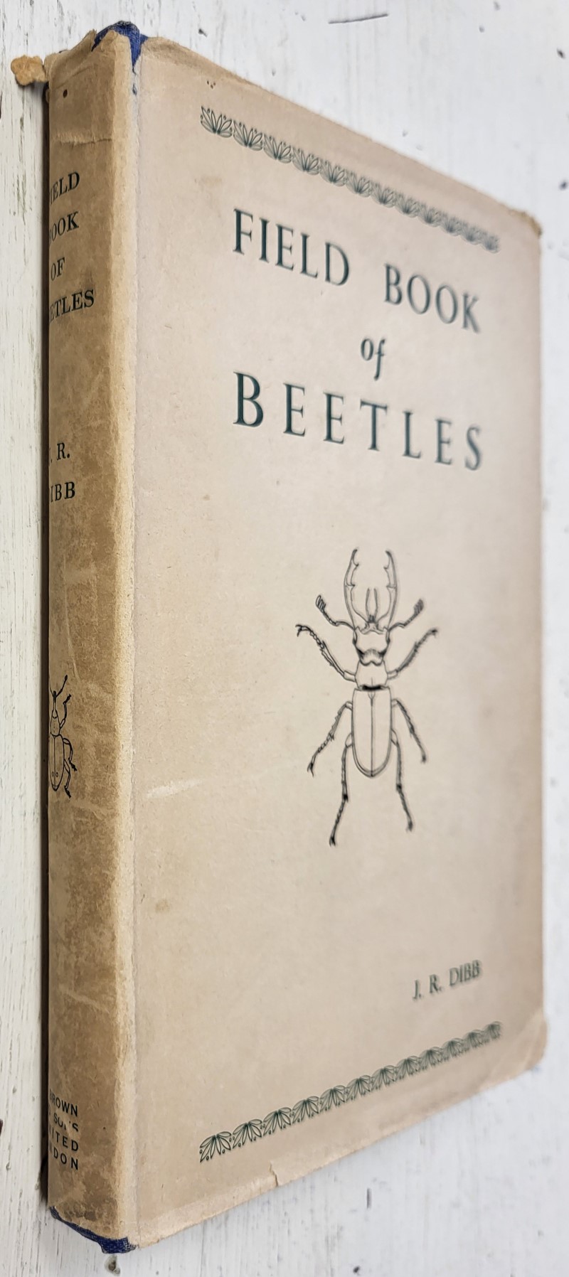 Field Book of Beetles