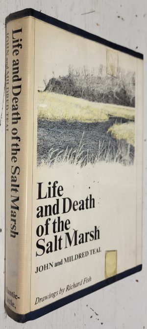 Life and Death of the Saltmarsh