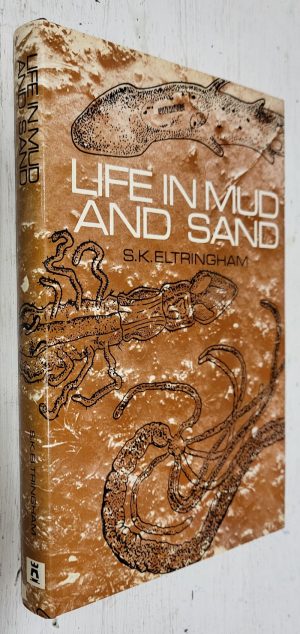 Life in Mud and Sand