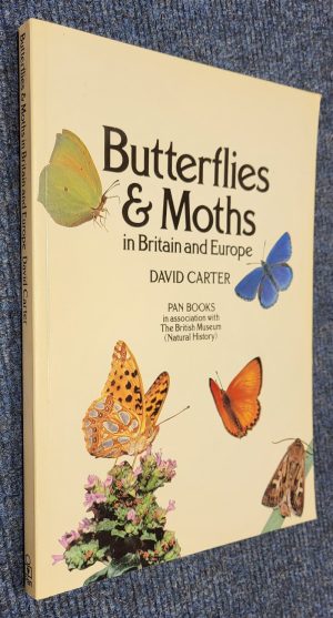 Butterflies and Moths in Britain and Europe