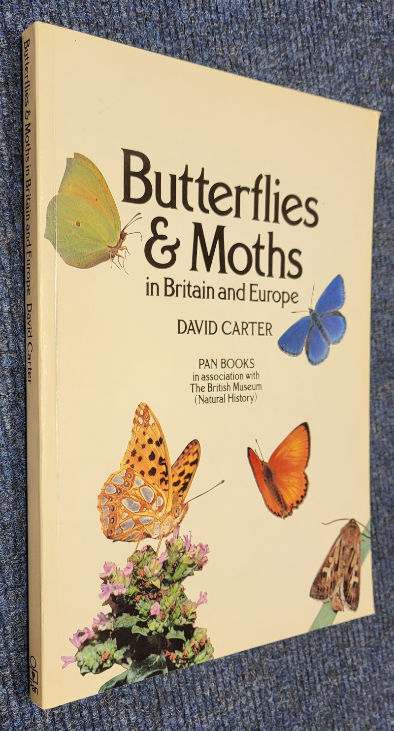 Butterflies and Moths in Britain and Europe