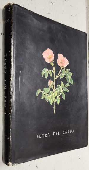 Flora del Carso