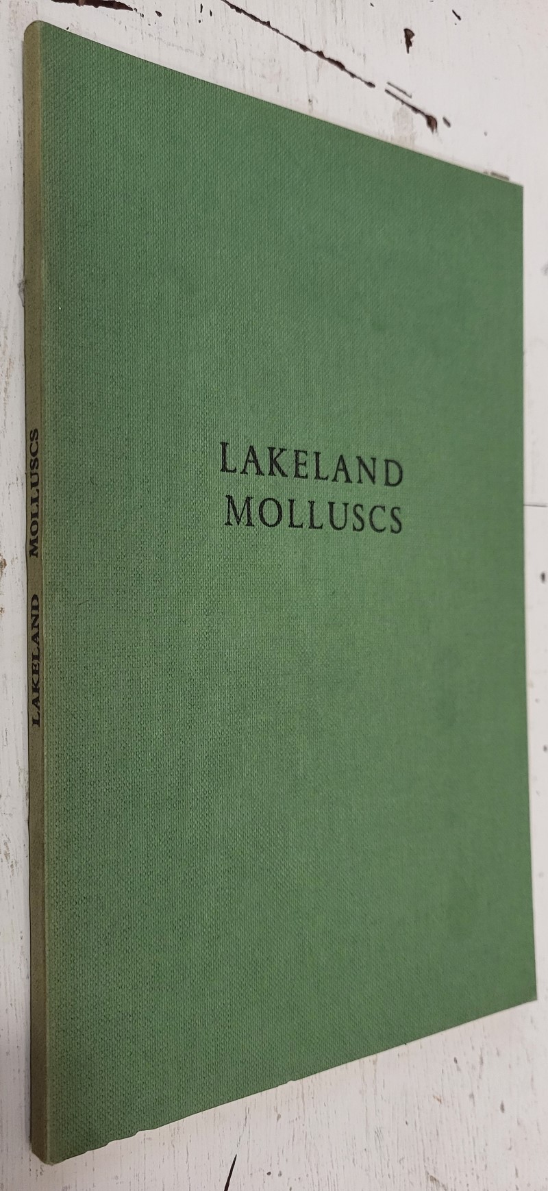 Lakeland Molluscs