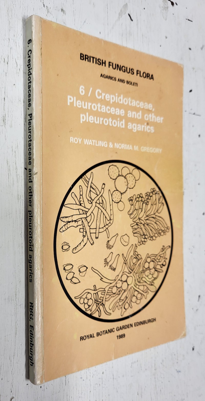 British Fungus Flora Vol. 6: Crepidotaceae, Pleurotaceae and other pleurotoid agarics
