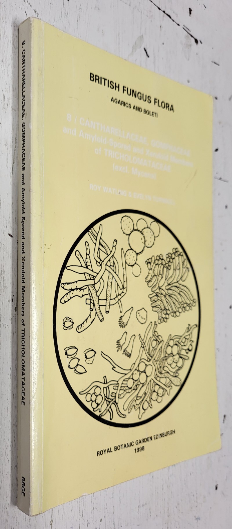 British Fungus Flora Vol. 8: Cantharellaceae, Gomphaceae and amyloid-spored and xeruloid members of tricholomataceae (excl. mycena)