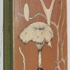 The Genus Lentinus