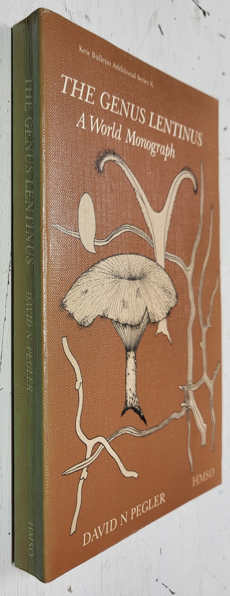 The Genus Lentinus
