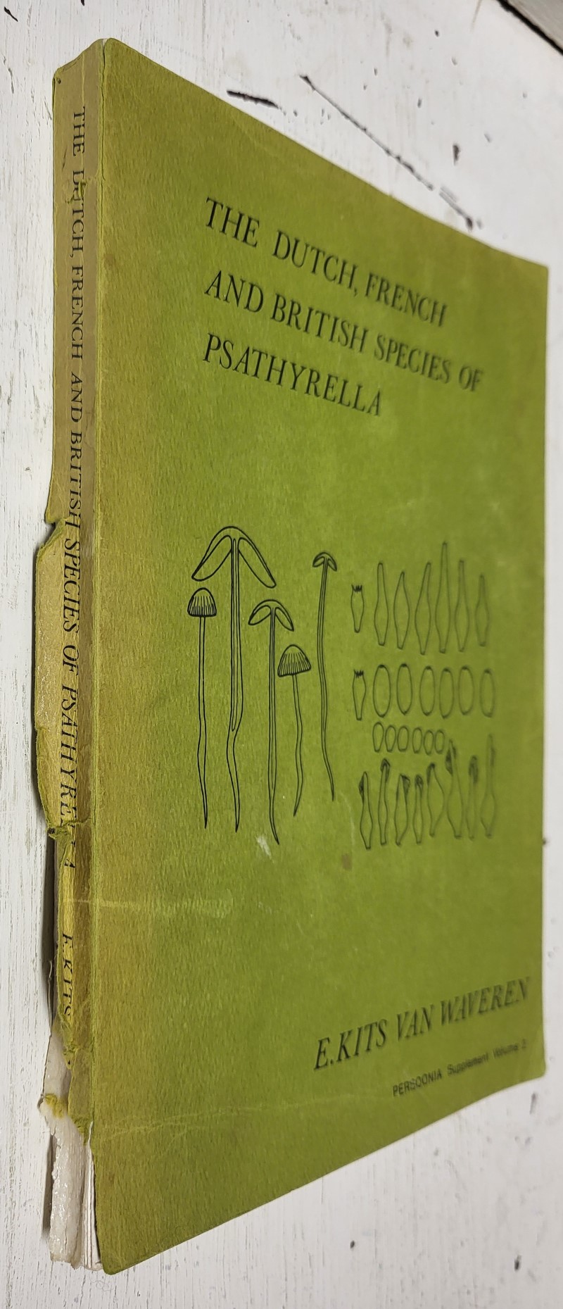 The Dutch, French and British species of Psathyrella