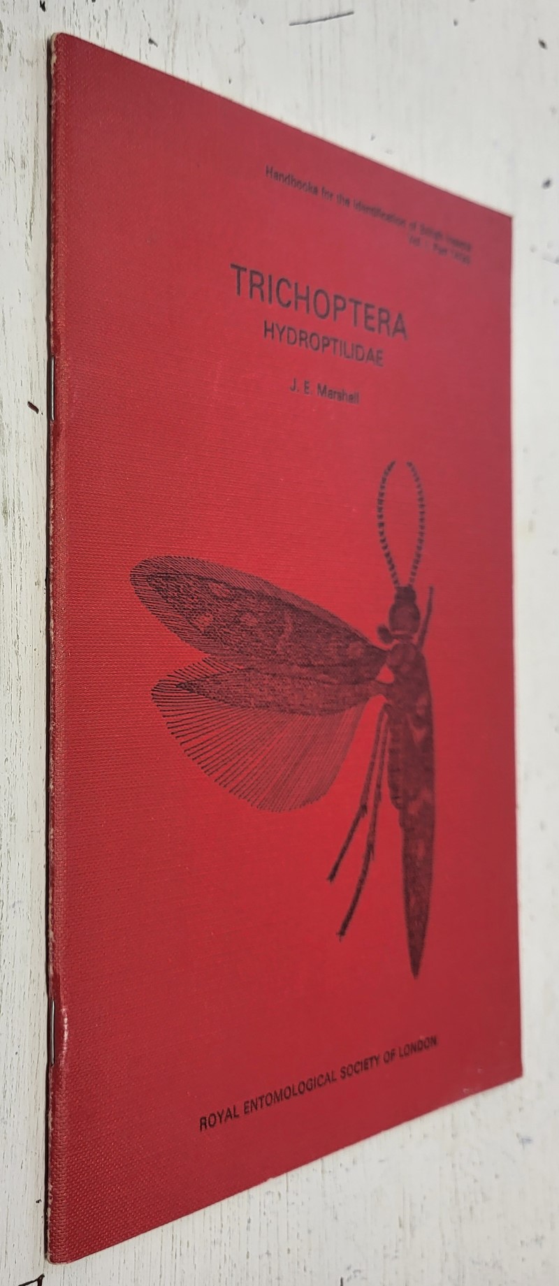 Trichoptera: Hydroptilidae