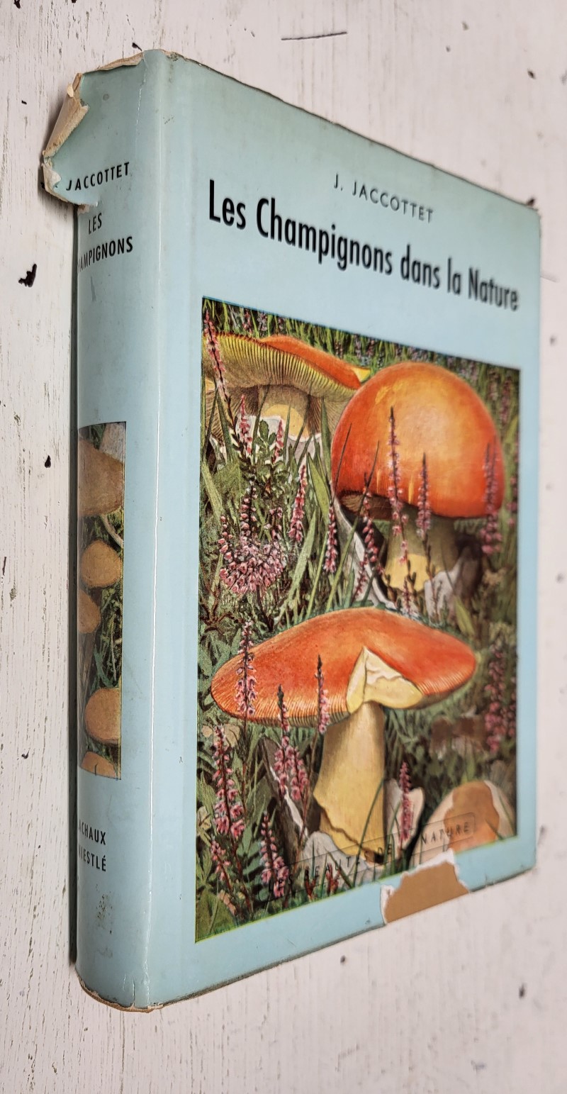 Les Champignons dans la Nature (Les Beautés de la Nature)