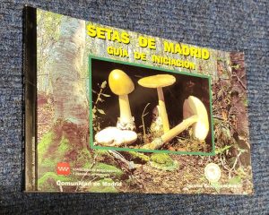 Setas de Madrid [Mushrooms of Madrid]