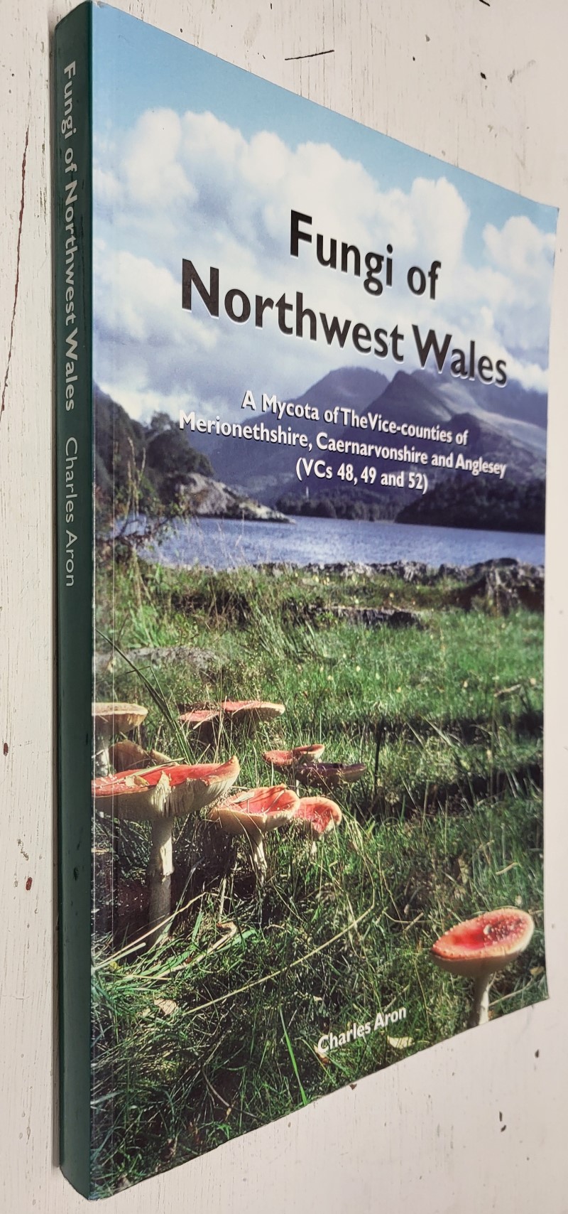 Fungi of Northwest Wales