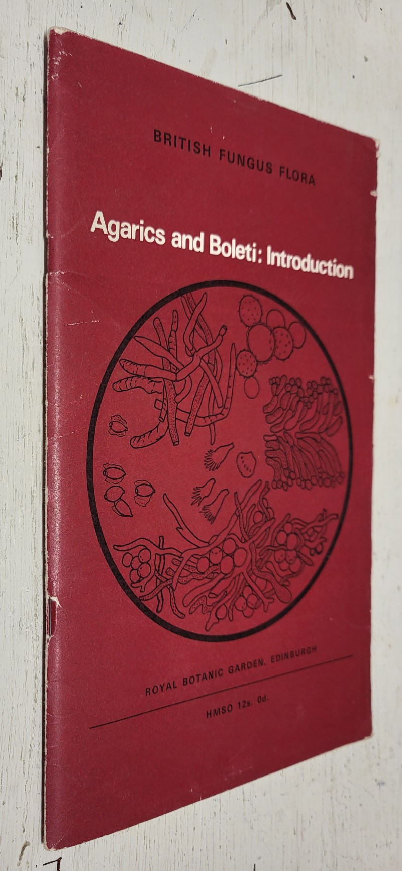 Agarics and Boleti: Introduction (British Fungus Flora)