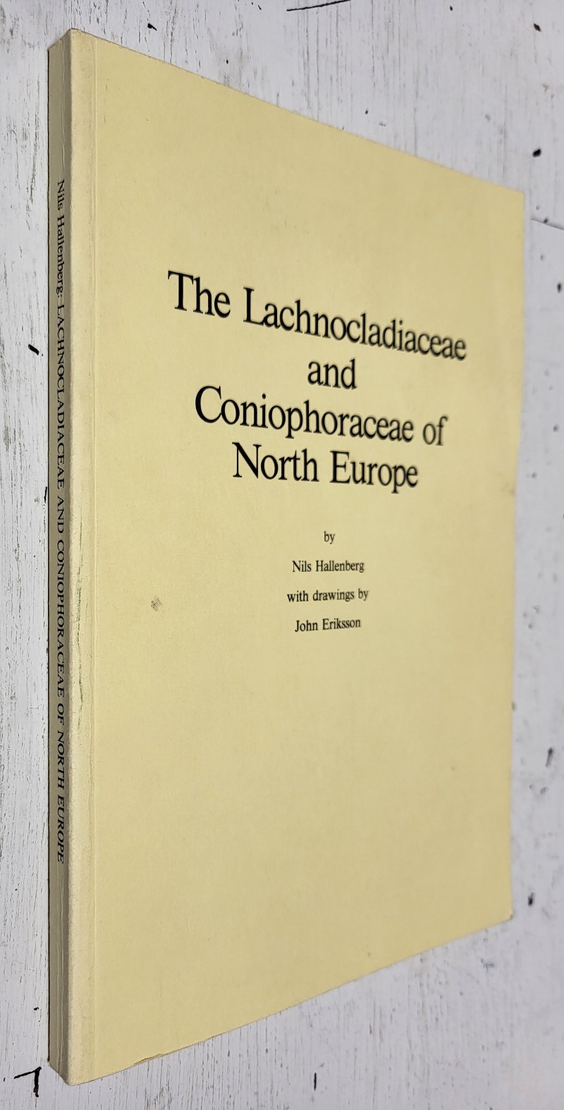 The Lachnocladiaceae and Coniophoraceae of North Europe