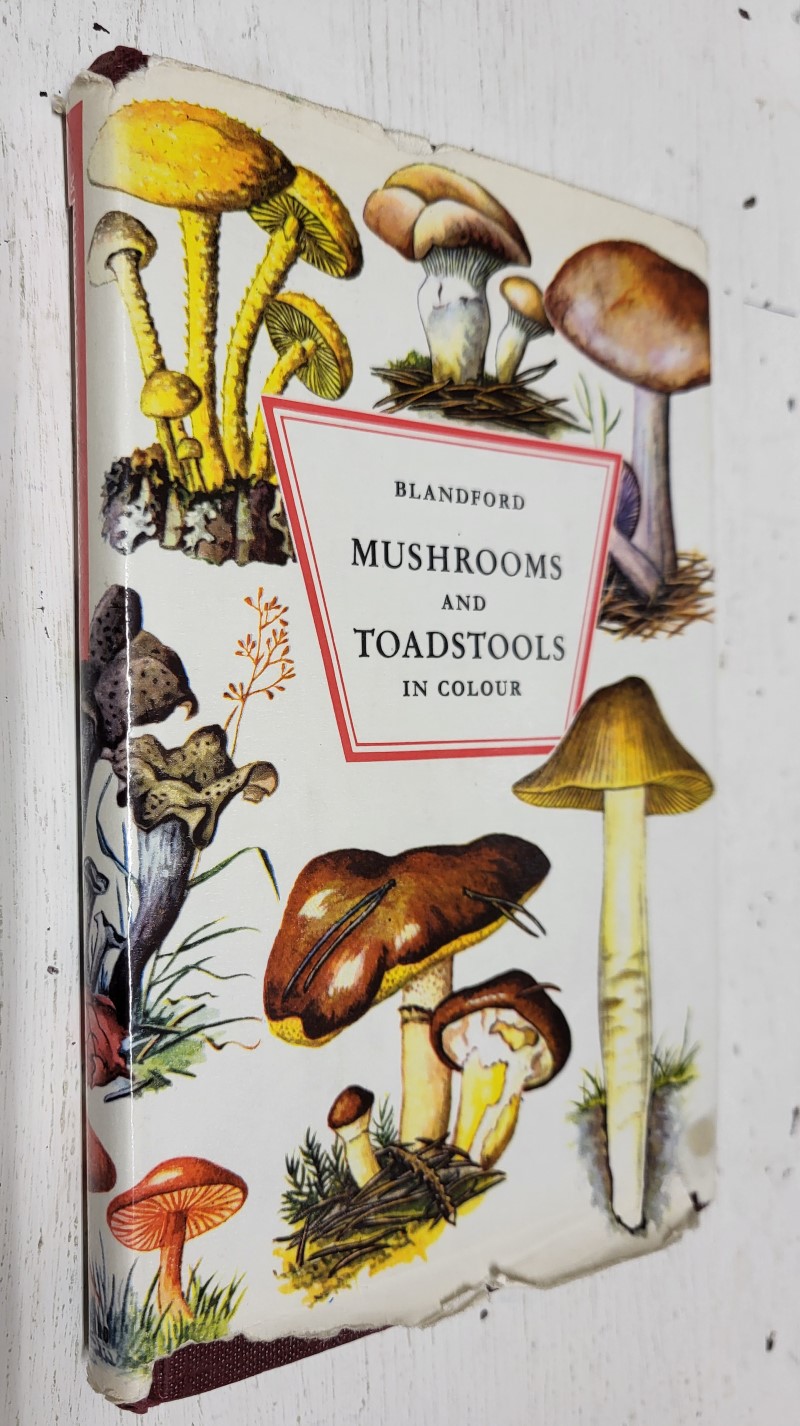 Mushrooms and Toadstools in Colour