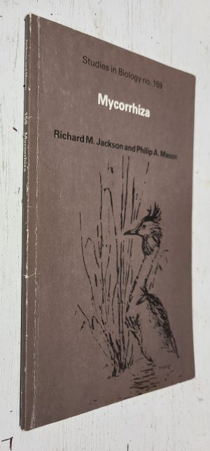 Mycorrhiza (Studies in Biology No. 159)
