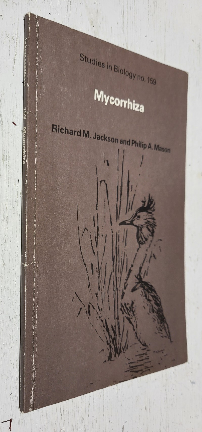 Mycorrhiza (Studies in Biology No. 159)