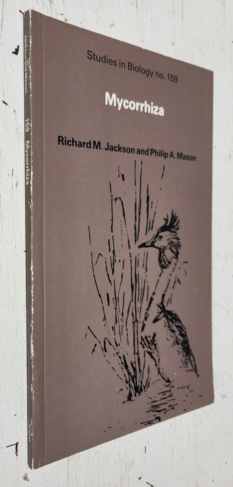 Mycorrhiza (Studies in Biology No. 159)