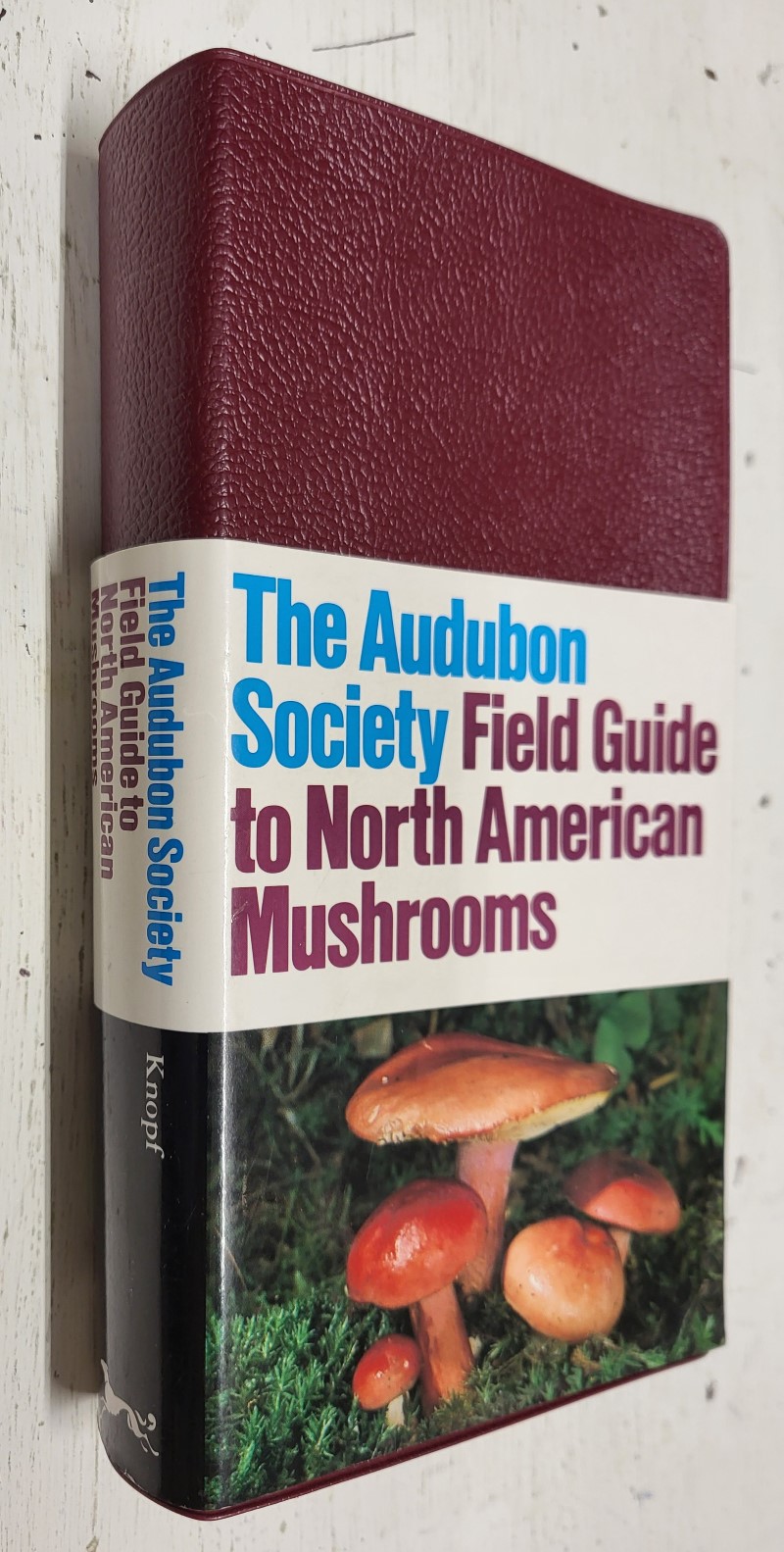 The Audubon Society Field Guide to North American Mushrooms