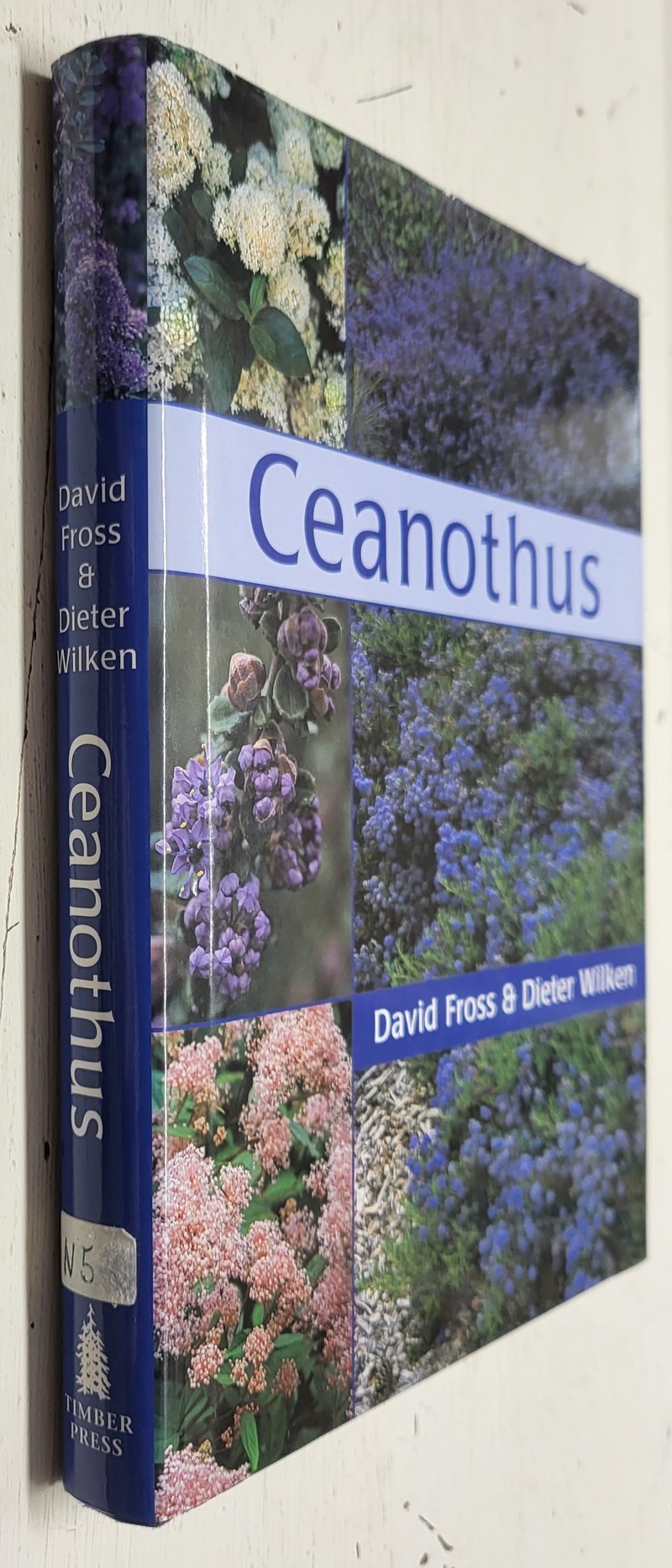 Ceanothus