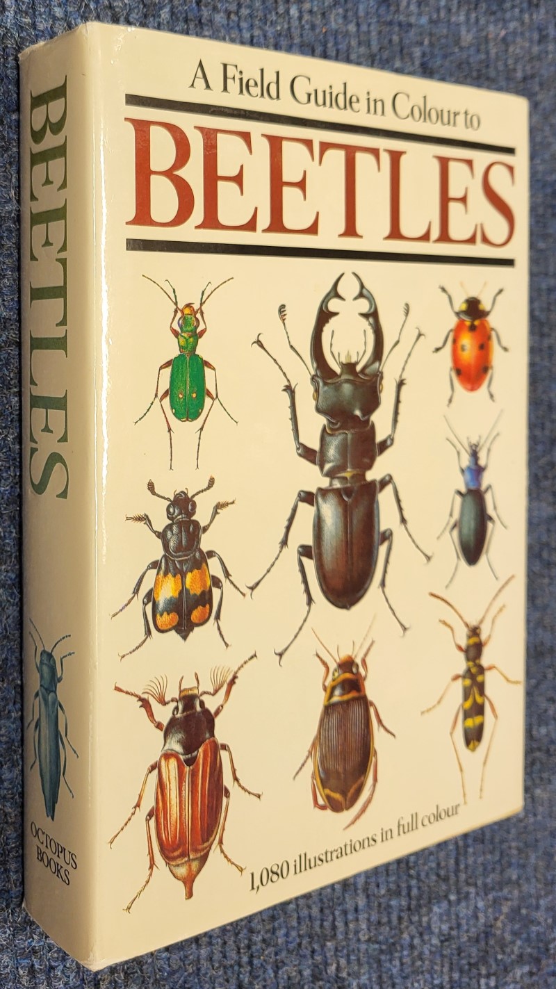 A Field Guide in Colour to Beetles