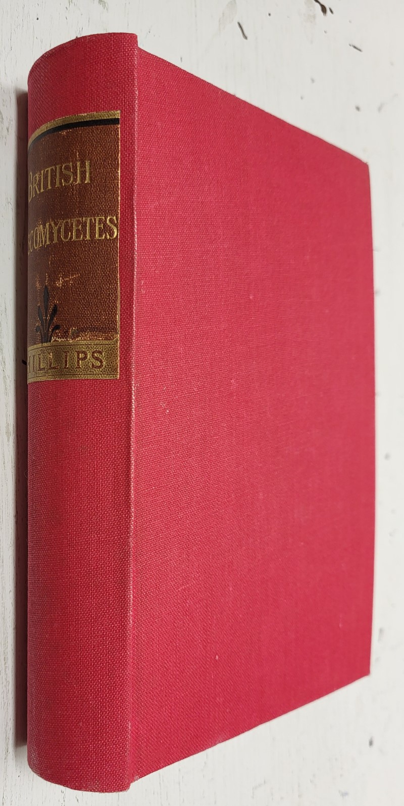 A Manual of the British Discomycetes