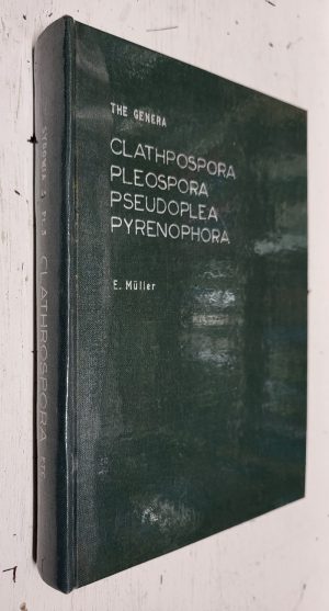 Die Schweizerischen Arten der Gattungen Clathpospora, Pleospora, Pseudoplea und Pyrenophora [Sydowia, Annales Mycologici, Vol. V, No. 3/6]