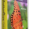 A Swift Guide to Butterflies of North America