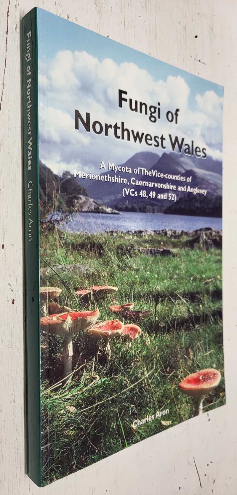 Fungi of Northwest Wales