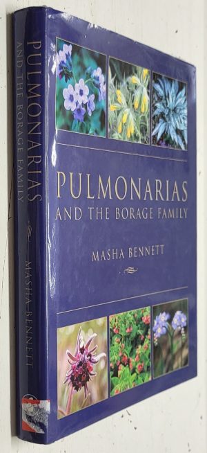Pulmonarias and the Borage Family