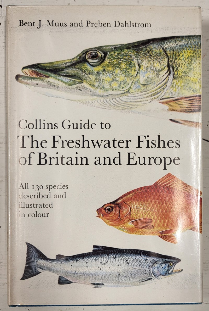 Collins Guide to the Freshwater Fishes of Britain and Europe