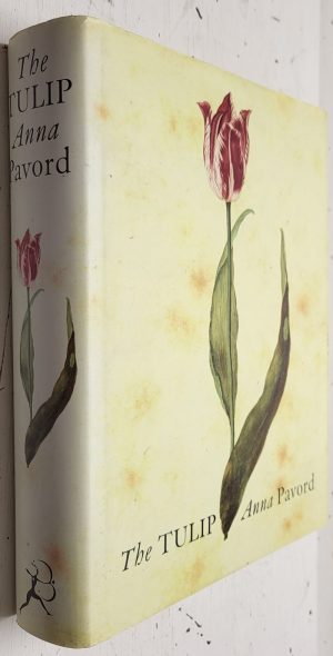 The Tulip