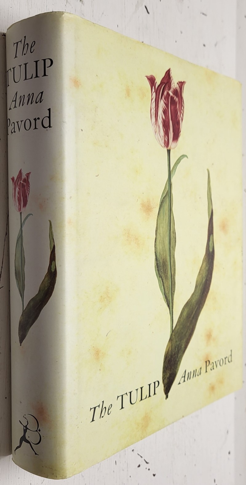 The Tulip