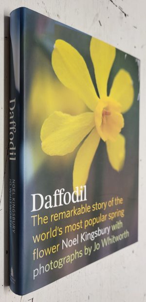 Daffodil