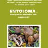 The front cover of Entoloma s.l. 5c/Flora Agaricina Neerlandica vol. 1 suppl. 2.