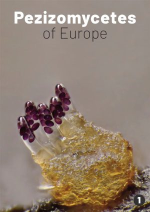 Pezizomycetes of Europe; volume 1