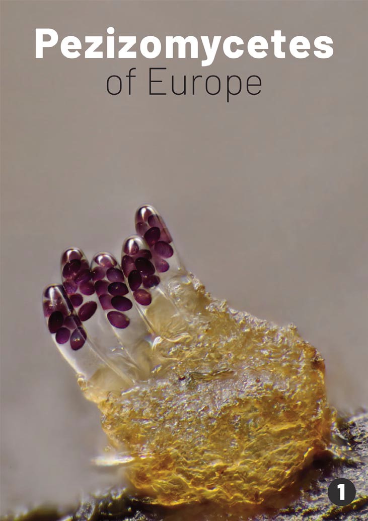 Pezizomycetes of Europe; volume 1