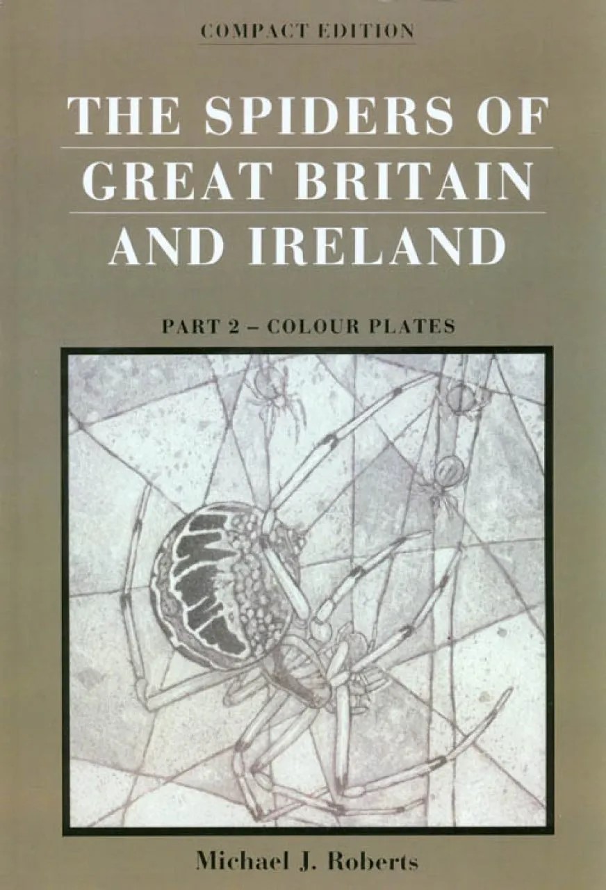 Spiders of Great Britain and Ireland - 2 Volume Compact Edition - Image 4