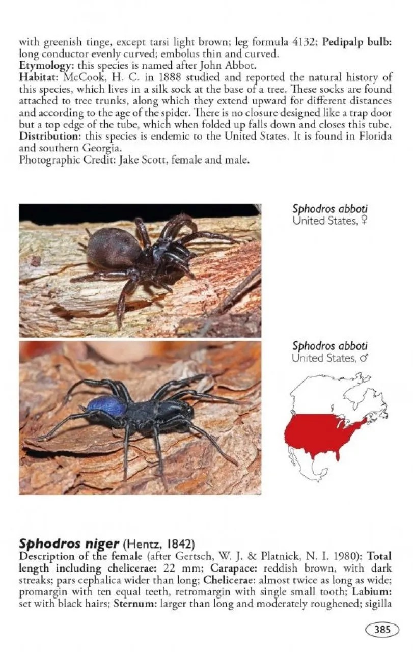 Tarantulas of the World, Volume 2: Other Families - Image 5
