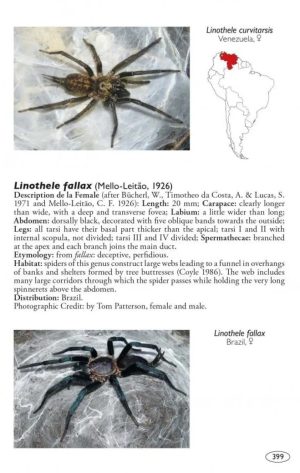 Tarantulas of the World, Volume 2: Other Families - Image 4