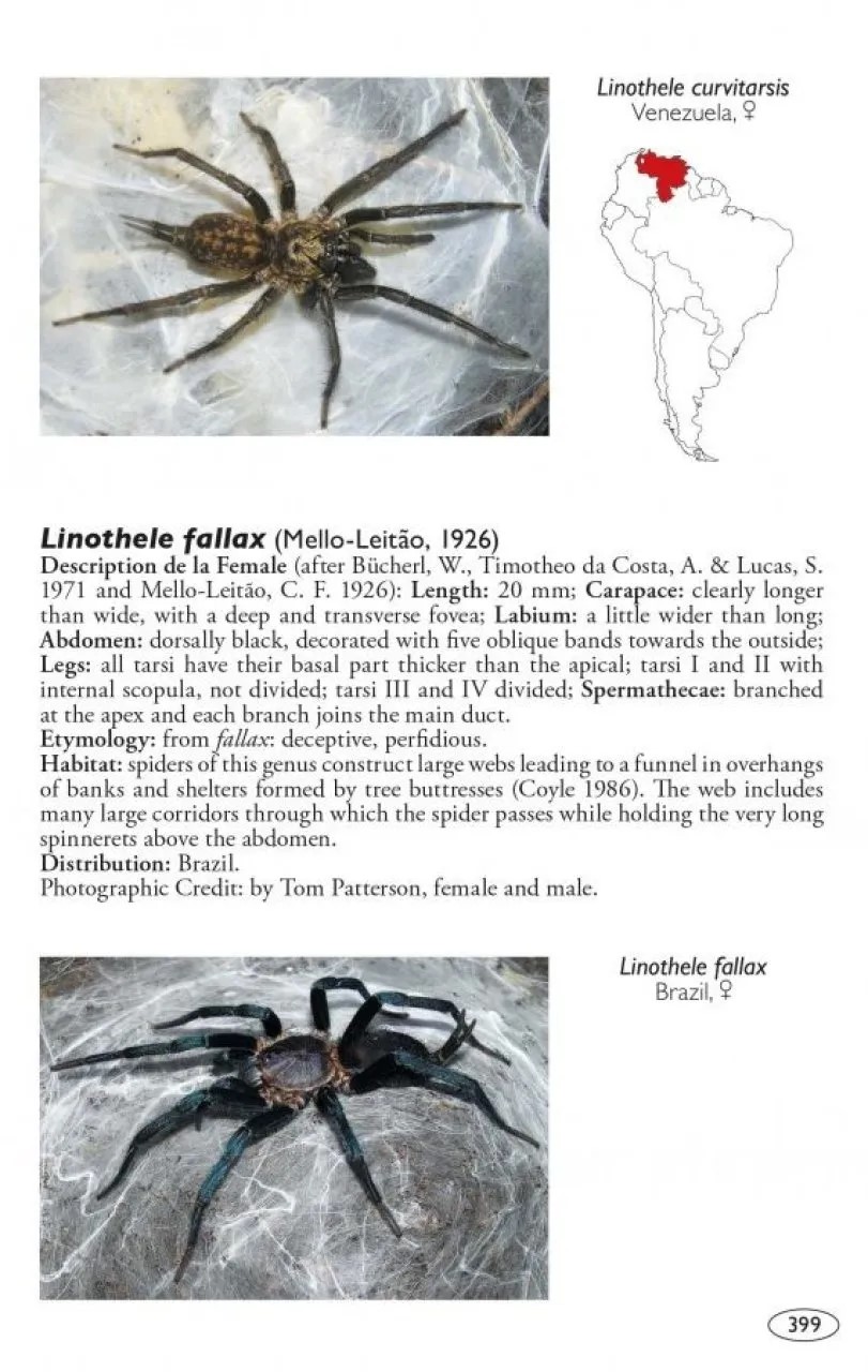Tarantulas of the World, Volume 2: Other Families - Image 4