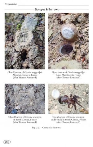 Tarantulas of the World, Volume 2: Other Families - Image 3