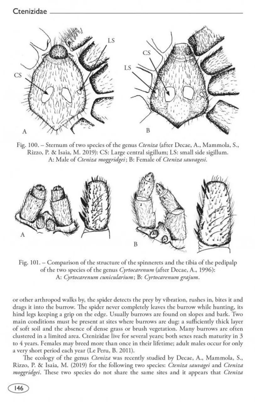 Tarantulas of the World, Volume 2: Other Families - Image 2