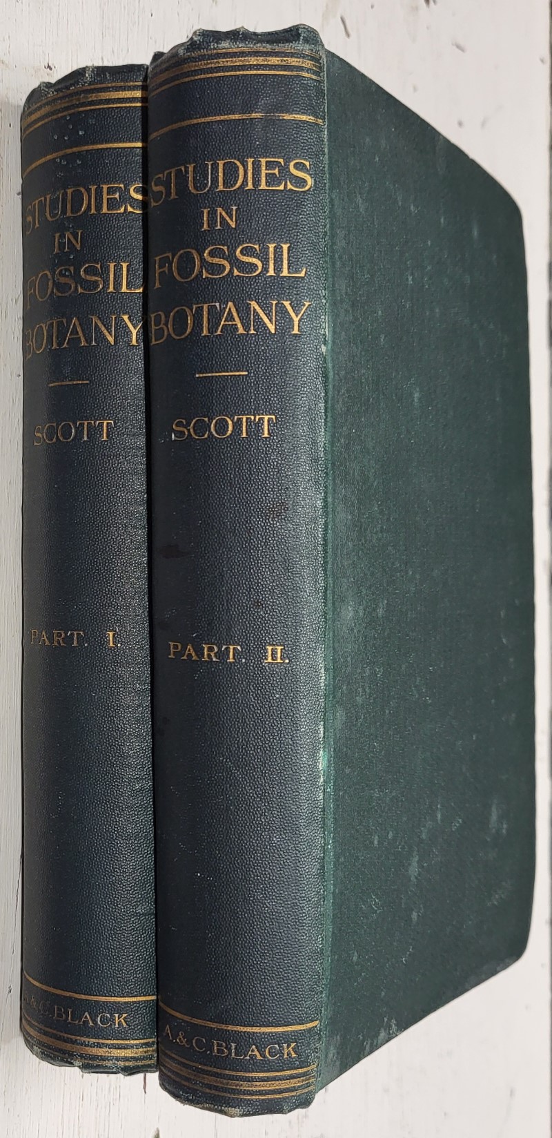 Studies in Fossil Botany, 2 vols.