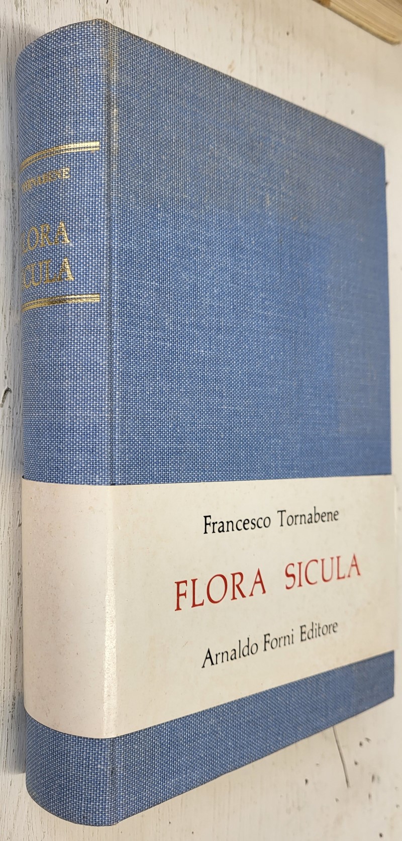 Flora Sicula