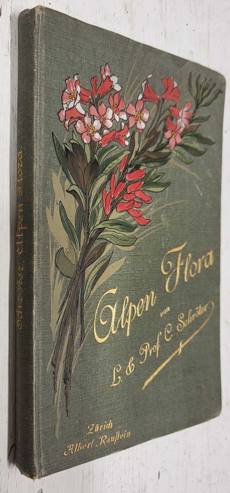 Taschenflora Des Alpen-Wanderers (Alpen Flora)